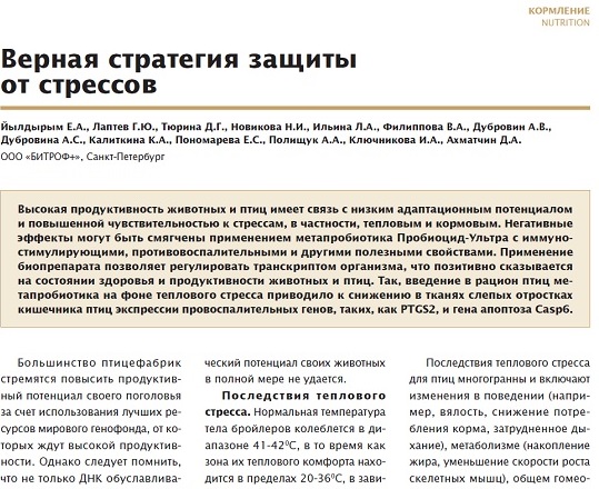 Верная стратегия защиты от стрессов